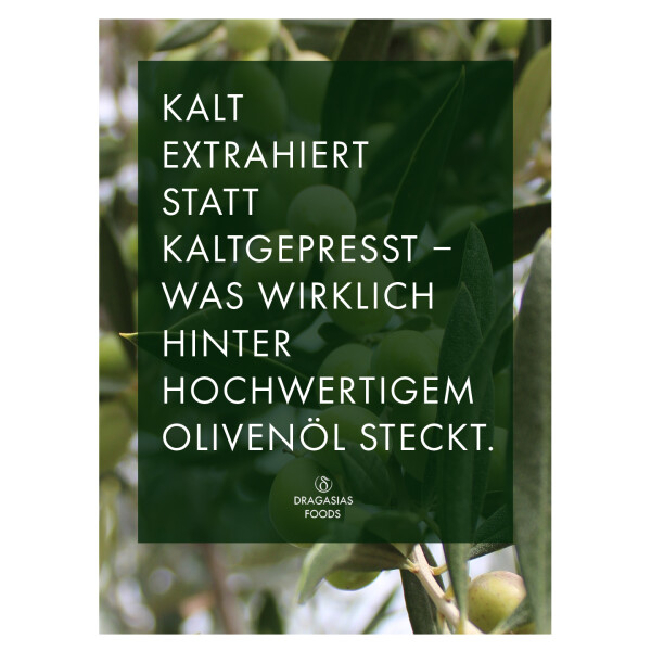 Kalt extrahiert statt kaltgepresst – warum moderne Premium-Olivenöle heute anders hergestellt werden - Kalt extrahiert statt kaltgepresst | Der Unterschied bei hochwertigem Olivenöl | Dragasias Olivenöl