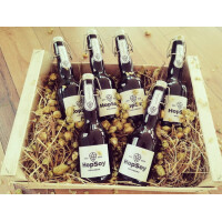 HopSoy